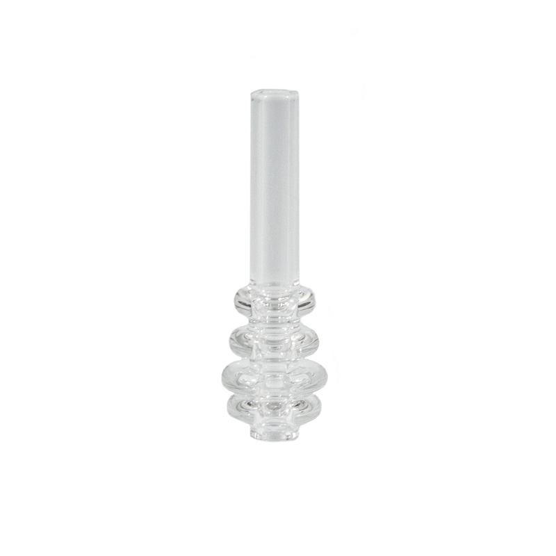 Eyce Collector + Shorty Bundle Bundles Eyce Molds 